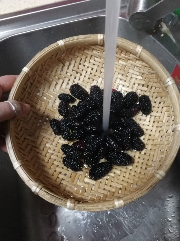 素食养生(冬季篇)——桑椹椰汁膏,新鲜桑椹冲洗干净,去蒂
