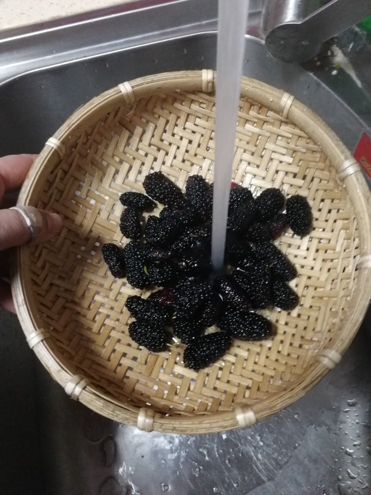 素食养生(冬季篇)——桑椹椰汁膏,新鲜桑椹冲洗干净，去蒂