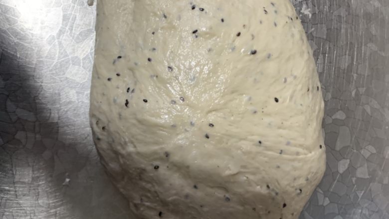 黑芝麻小包,揉出膜一次发酵