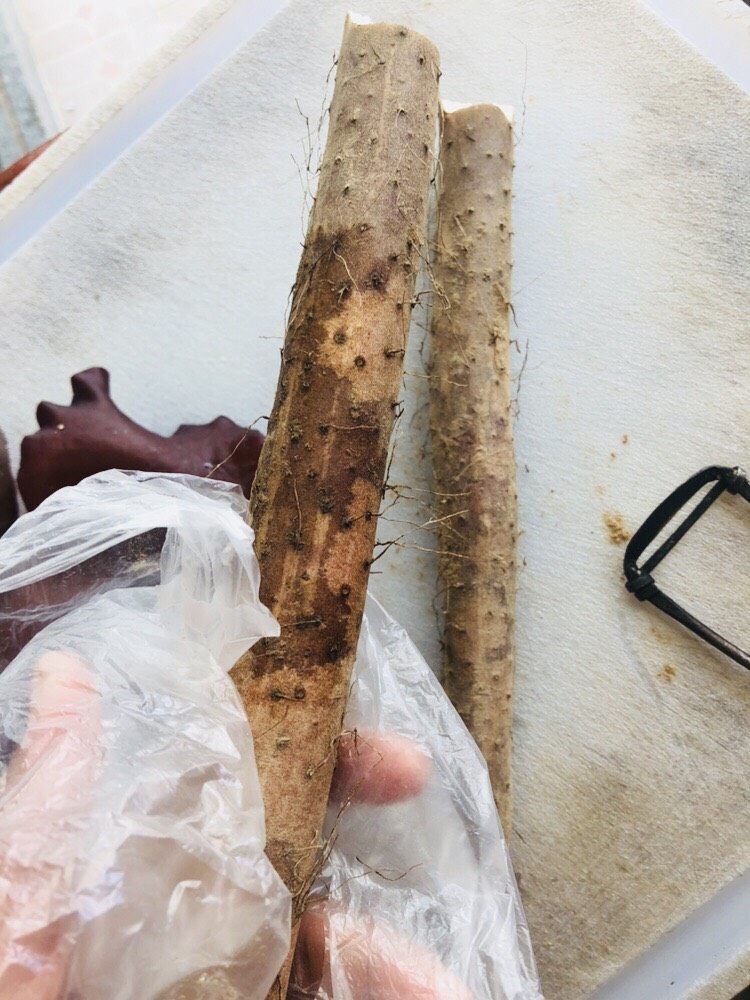 清炒山药木耳,山药汁容易引起过敏发痒,可以戴个手套或者袋子削皮,也可以选择先烫一下再去皮。去皮后多次冲洗去粘液,口感会更加爽脆。