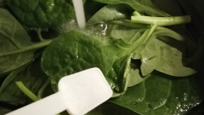 清炒木耳菜,水中加入盐 浸泡10分钟