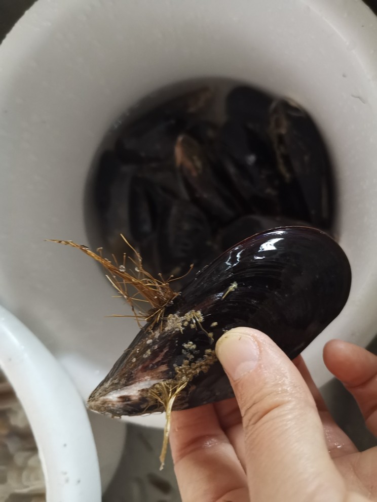 健康过大年,海鲜锅杂蔬锅,壳壳尤其要清理干净