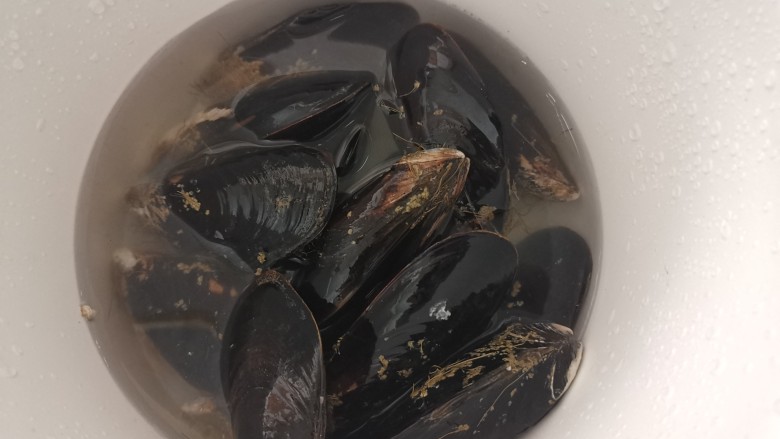 健康过大年,海鲜锅杂蔬锅,野生大淡菜洗净