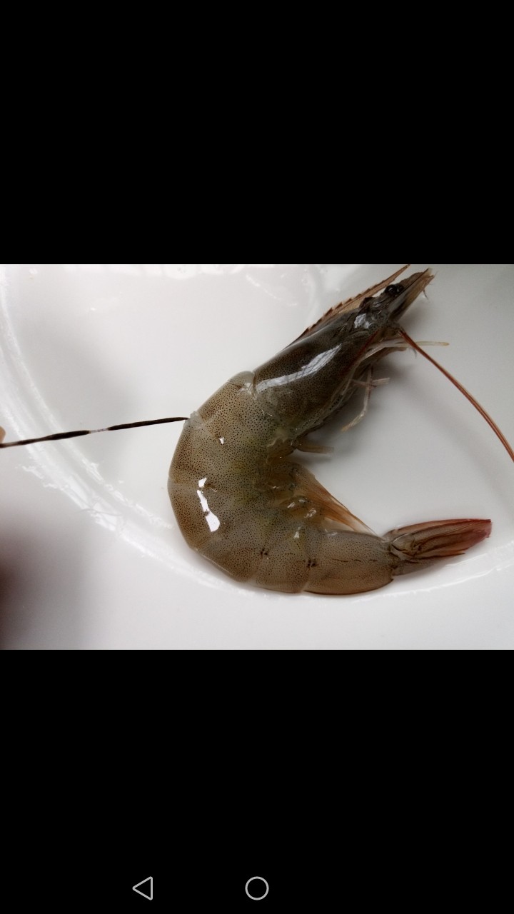 麻辣干锅虾,用牙签将虾的虾线去除,戳进虾第二节背部即可轻松挑出