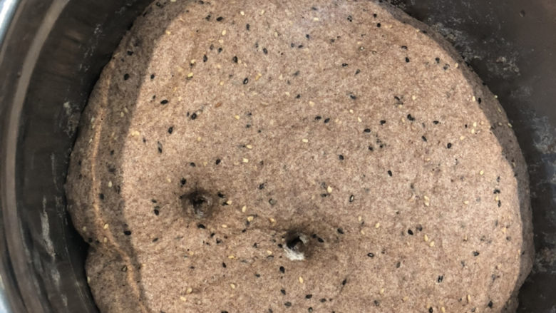 黑麦馒头,手指沾面粉戳洞不回缩、拉开呈蜂窝状,即发酵好了