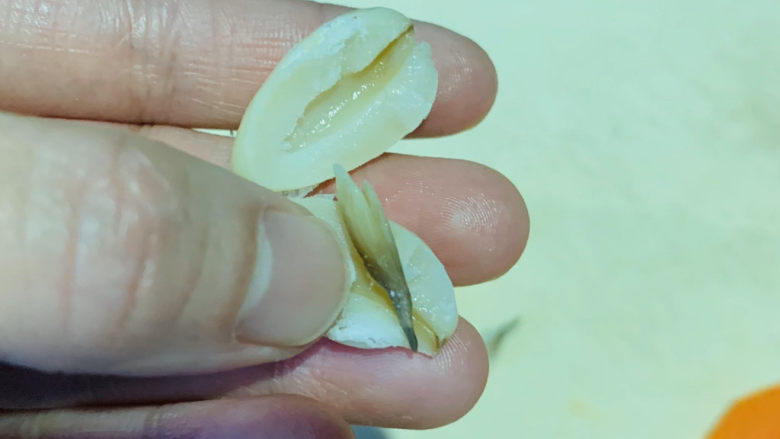 白果炖鸡,将白果芯取出,因为芯会苦;