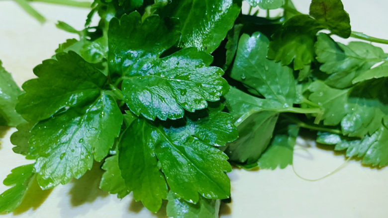 芹菜炒胡萝卜,芹菜叶;
