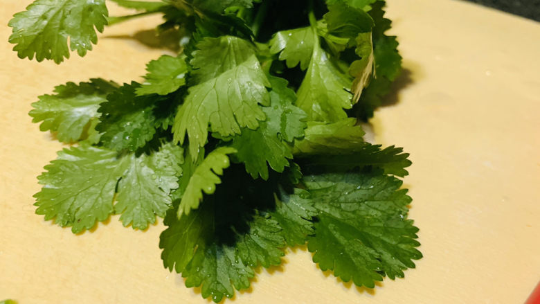 大白菜炖粉条,香菜洗净备用;