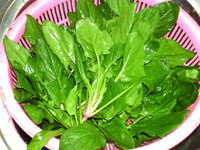 猪肝菠菜汤,<a style='color:red;display:inline-block;' href='/shicai/ 117'>菠菜</a>洗净沥干水分