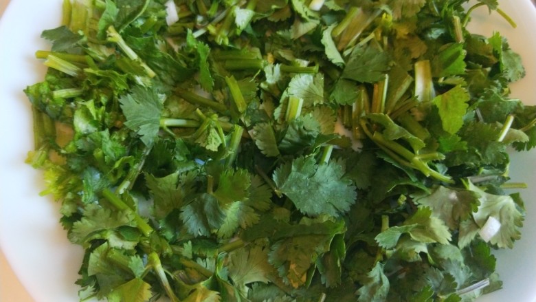 葱炒牛肉片,<a style='color:red;display:inline-block;' href='/shicai/ 131'>香菜</a>切段铺底,倒入牛肉丝。