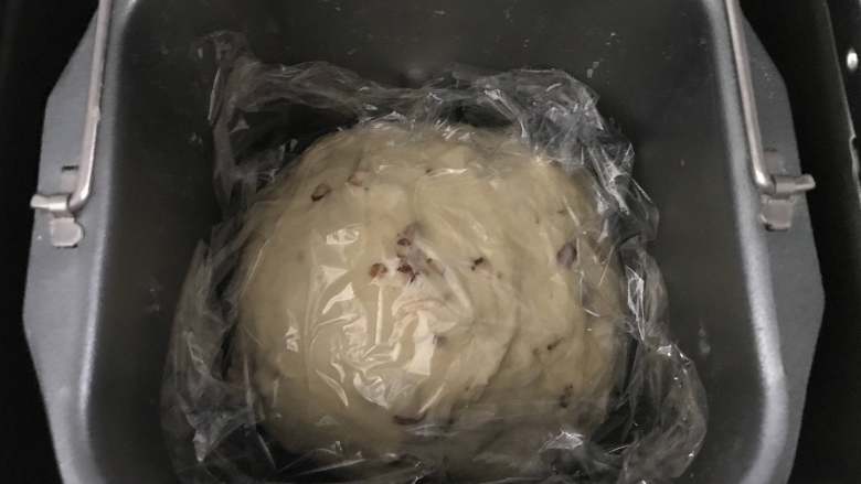 红枣面包,揉匀后盖上保鲜膜,静置20分钟,这里不需要发酵至2倍大