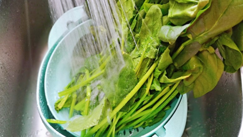 菠菜拌花生米,洗干净的菠菜切三段,我的菠菜比较大,小菠菜不切也可以。