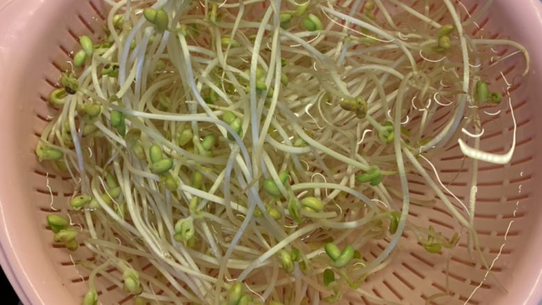 韭菜炒豆芽,<a style='color:red;display:inline-block;' href='/shicai/ 120'>豆芽</a>洗干净，沥干水
