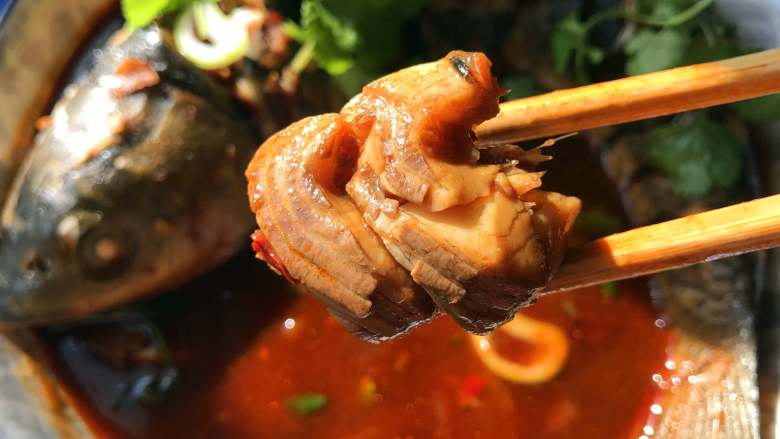 炖草鱼,汤鲜肉嫩,香辣下饭,真的超好吃