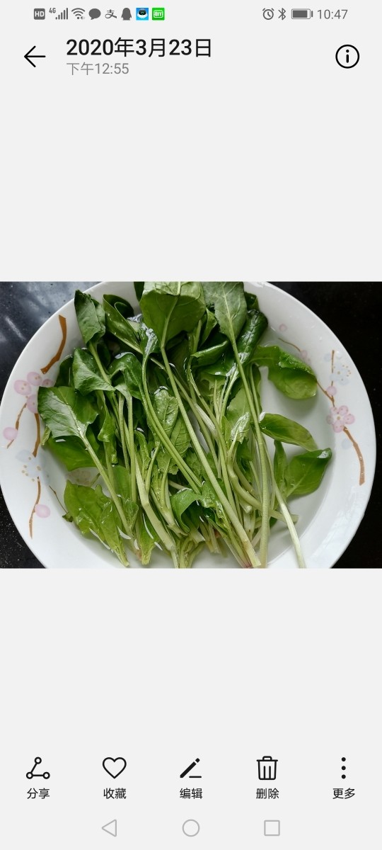 菠菜蛋卷,将菠菜泡水清洗干净