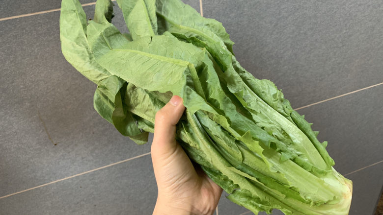 蚝油油麦菜,<a style='color:red;display:inline-block;' href='/shicai/ 155'>油麦菜</a>一棵