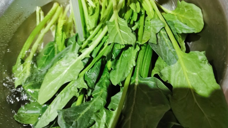 凉拌菠菜粉丝,菠菜择洗干净