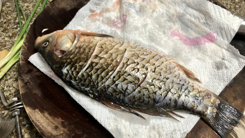 奶白鲫鱼豆腐汤➕朝看白水暮青山,腌好的🐟,用厨房纸巾吸去表面水分