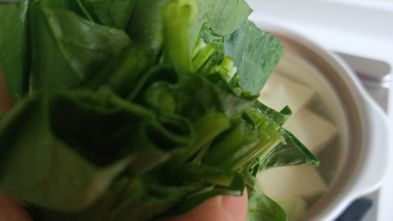 菠菜豆腐汤,放入菠菜。