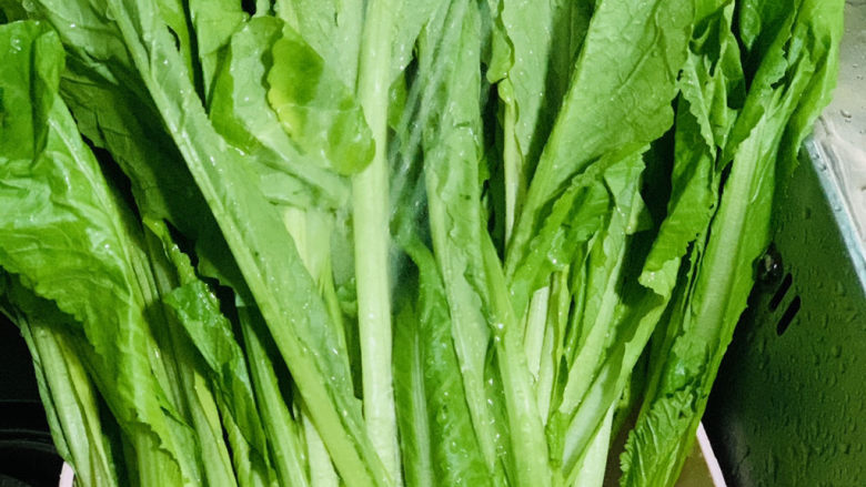 清炒芥菜,荠菜用水冲洗干净;