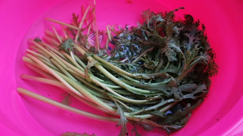 茼蒿炒鸡蛋,茼蒿冲洗一下,清水浸泡十分钟,再冲洗沥掉水