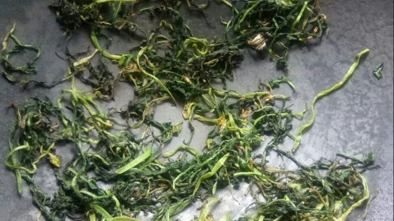 蒲公英茶,摊开，继续小火炒蒲公英。