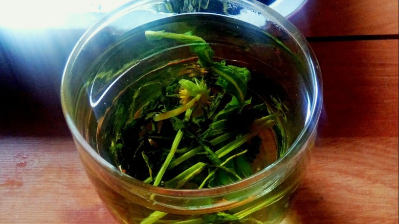 蒲公英茶,泡一杯春意盎然的蒲公英茶。