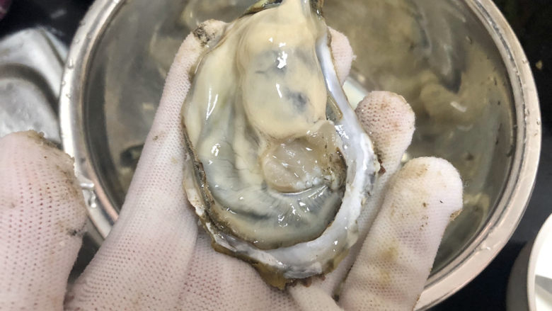 牡蛎豆腐汤,开蚝取肉,小心手哦