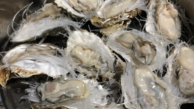 蒜蓉粉丝蒸生蚝,生蚝摆放在笼屉上,把粉丝剪断团放在生蚝上。