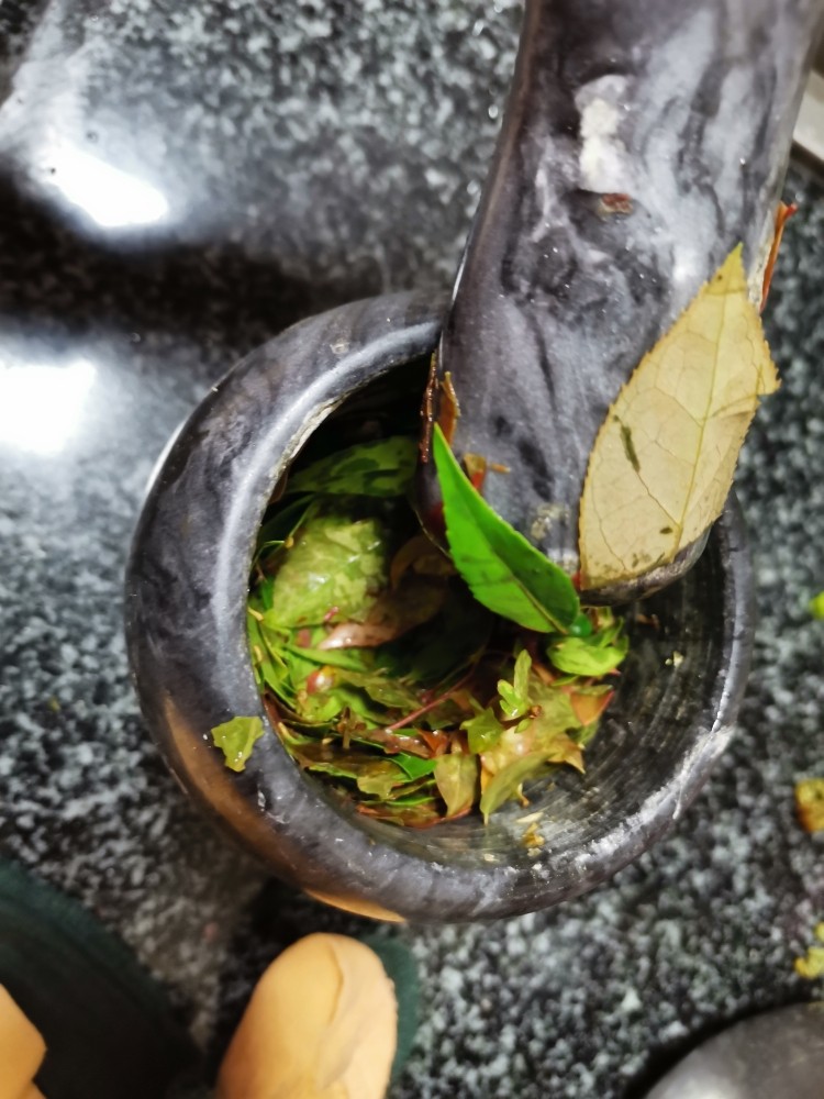江南美食,我敢肯定,你一定没吃过这么丑,但也香喷喷的乌饭,用捣臼捣烂叶子