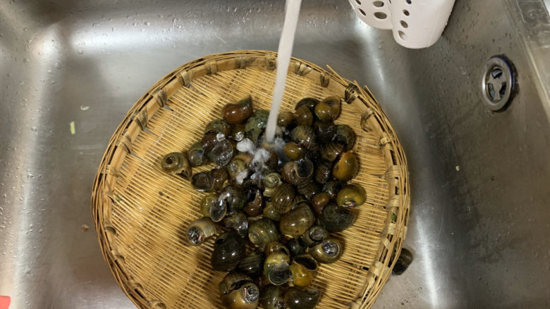 爆炒田螺肉,剪掉尾巴后用清水反复清洗,用刷子把每一个刷干净