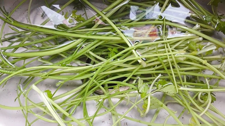 芹菜炒木耳,芹菜去根去叶,清水里浸泡一下