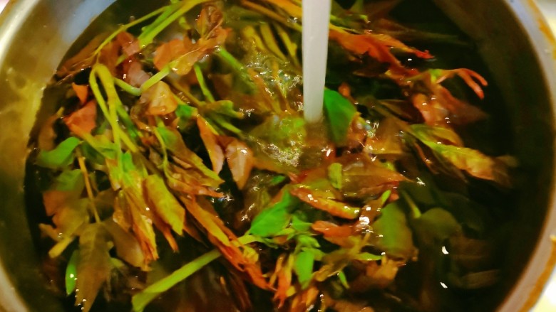 凉拌香椿,<a style='color:red;display:inline-block;' href='/shicai/ 130'>香椿</a>择掉老叶 去掉根部 清洗干净