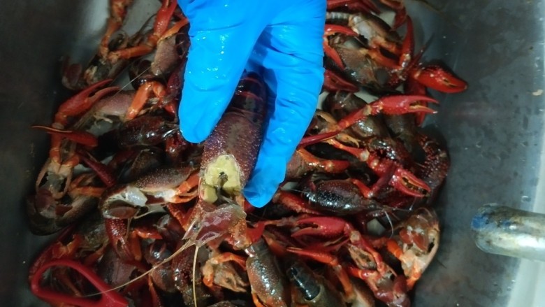 蒜香小龙虾,带上厚手套,把虾头剪掉,