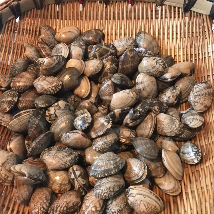 麻辣花蛤,泡好的花蛤捞出来,