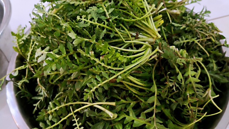 荠菜饺子,新挖的野菜清理掉残叶,泥土。用清<a style='color:red;display:inline-block;' href='/shicai/ 156925'>水</a>泡两个小时。