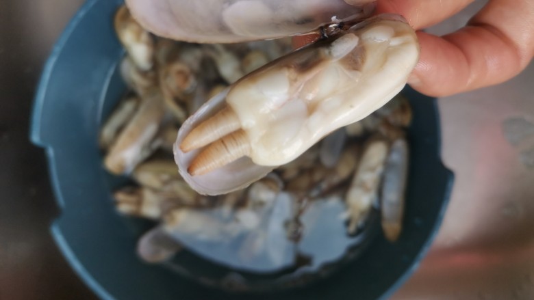 清蒸蛏子,蛏子边的黑线去掉,清洗干净