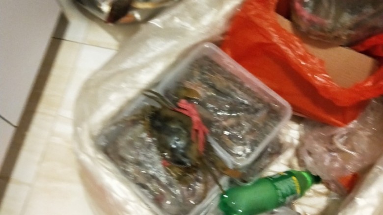 葱油鲈鱼,刚邮寄过来的新鲜海鲜,准备先做鱼。