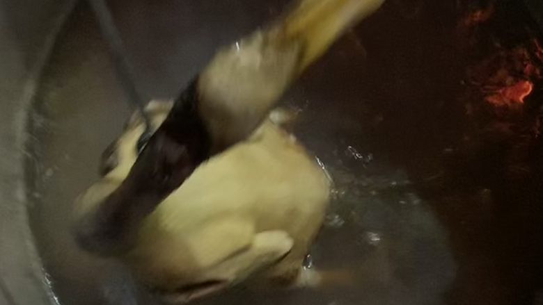 白切鸭,水再次开把鸭子在锅里拎起来,主要是把鸭子身体里的水倒水,避免里面水温不变隔着鸭身体就会变低,鸭肉就会出现不熟的情况。