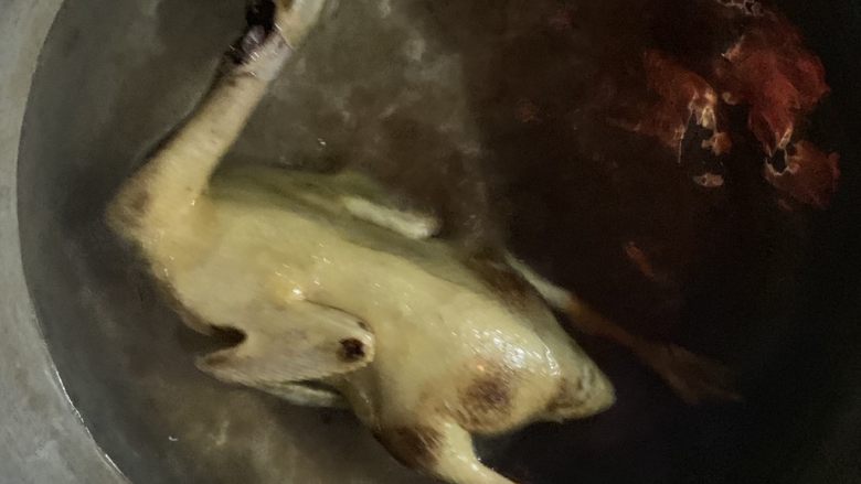 白切鸭,锅里备水放入鸭子。水要没过鸭子4公分,鸭子能浮起来为止。