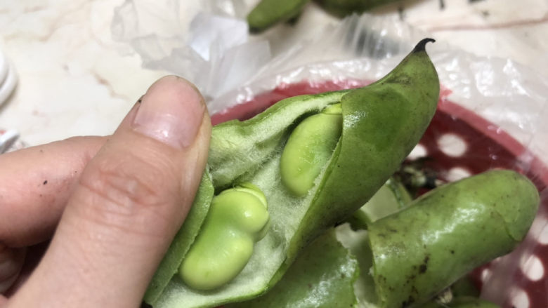 五香蚕豆,剥蚕豆,每个里面都藏着翠绿的蚕豆宝宝