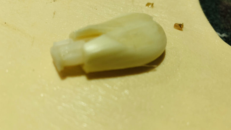 炒牛肝菌,蒜瓣剥皮,拍扁;