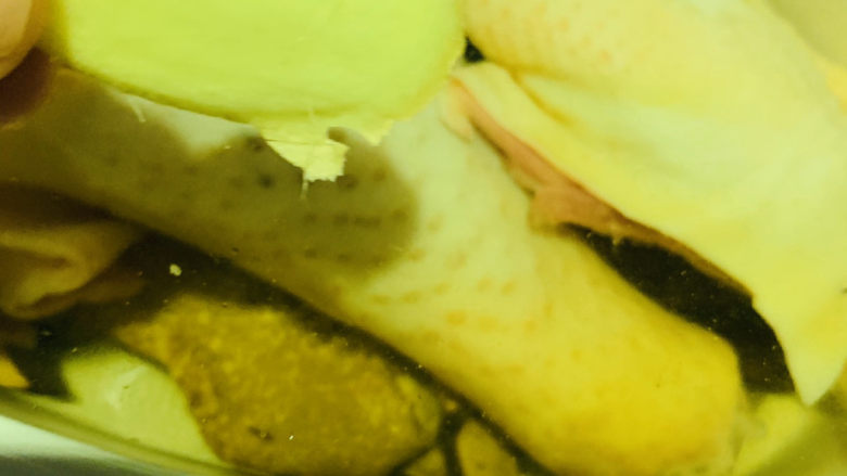 牛肝菌炖鸡,加一片生姜;