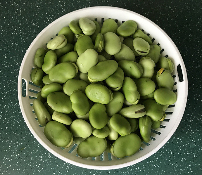 五香蚕豆,剥好的蚕豆,用淡盐水浸泡十来分钟,再冲洗干净