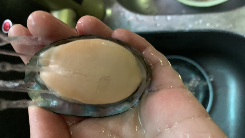 鲍鱼捞饭,洗净,用小刷子刷;
