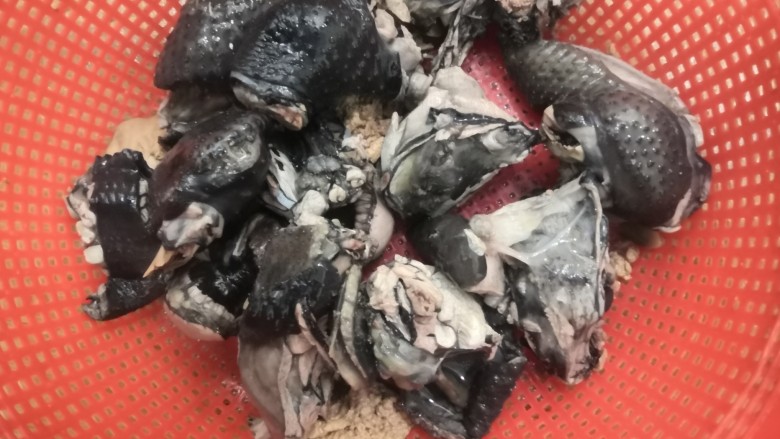 虫草花乌鸡汤,焯好的乌鸡,再次洗干净,沥干水份备用