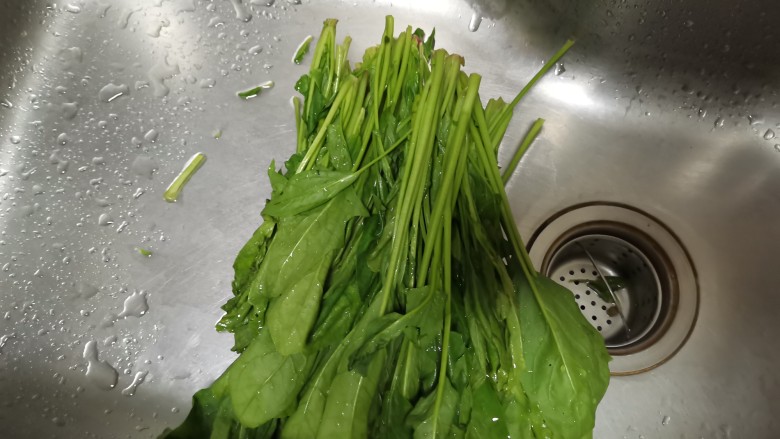补血止血,助消化保护视力,好看好吃的菠菜鸡蛋饼,<a style='color:red;display:inline-block;' href='/shicai/ 117'>菠菜</a>洗净