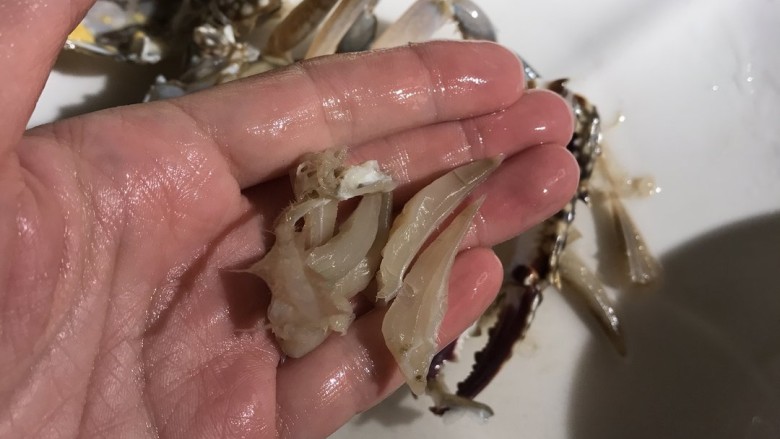 螃蟹炒年糕,启开蟹盖,削除蟹腮和小绒毛,蟹钳要用刀略拍出裂纹为好。