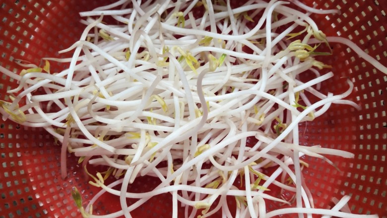 豆芽炒粉条,再次冲洗一边,沥干水份备用