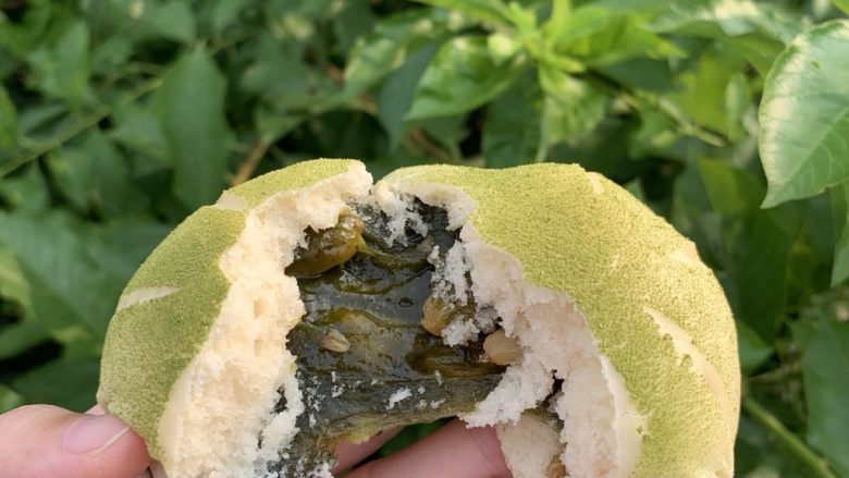 艾草麻薯包,清香艾草配合清甜葡萄的口感馅料被松软大福饼般的外皮包裹着!完美!